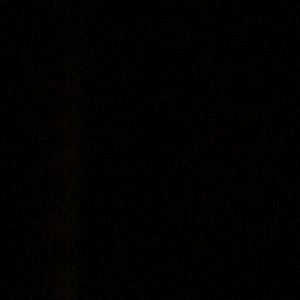 Meet your Posher, Shilo